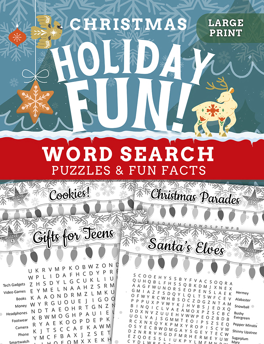 Christmas Holiday Fun Word Search book cover